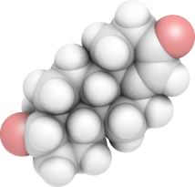 3_3_909b382636203f8.jpg