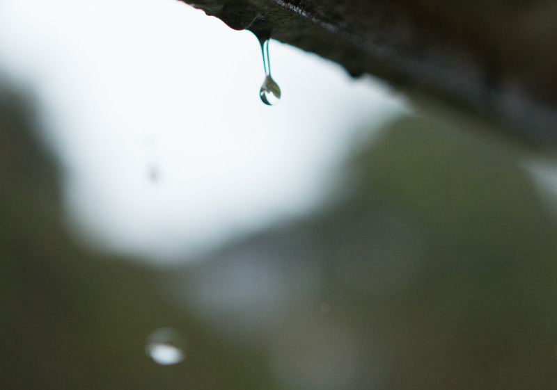 water-7.jpg