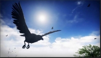 UE4商城资源——Birds