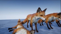 UE4商城资源——AnimalVarietyPack