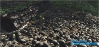 3D眩酷技巧(二)HDR高动态光照,法线贴图,视差贴图